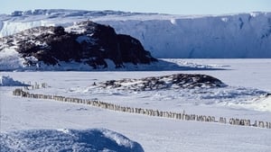 March of the Penguins