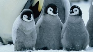 March of the Penguins