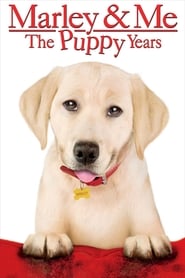 Marley & Me: The Puppy Years Marley & Me: The Puppy Years