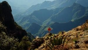 Mexico: Earth’s Festival of Life