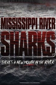 Mississippi River Sharks Mississippi River Sharks