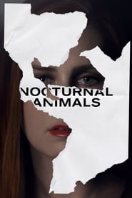 Nocturnal Animals Nocturnal Animals