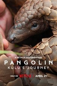Pangolin: Kulu’s Journey