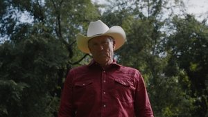 Pasture Prime