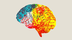 Persona: The Dark Truth Behind Personality Tests