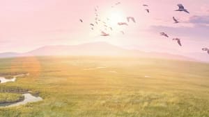 Planet Earth III