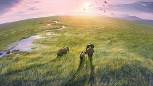 Planet Earth III