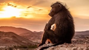 Planet Earth III