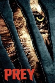 Prey Prey