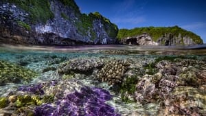 Protecting Paradise: The Story of Niue