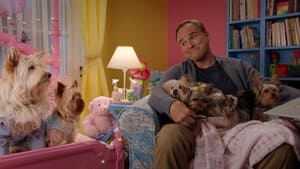 Puppy Star Christmas