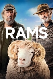 Rams Rams