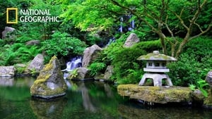 Satoyama: Japan’s Secret Watergarden