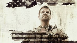 SEAL Team