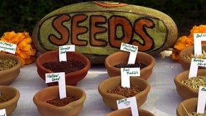 Seed: The Untold Story