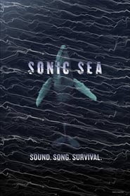 Sonic Sea Sonic Sea