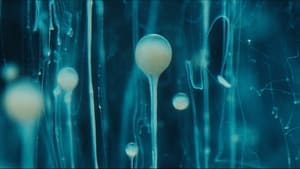 Spermworld