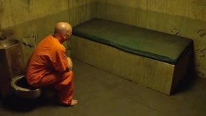 Survivors Guide to Prison