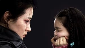 Sympathy for Lady Vengeance