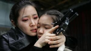 Sympathy for Lady Vengeance