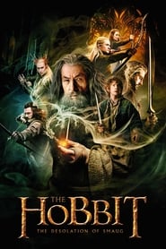 The Hobbit The Desolation of Smaug The Hobbit The Desolation of Smaug
