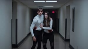 The Honeymoon Phase