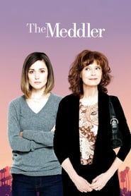 The Meddler The Meddler