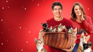 The Nine Kittens of Christmas