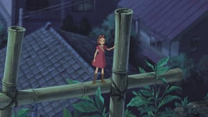 The Secret World of Arrietty