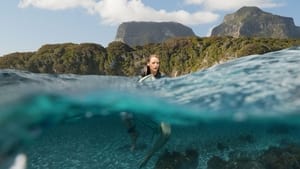 The Shallows