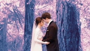 The Twilight Saga Breaking Dawn Part 1