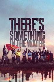 There’s Something in the Water There’s Something in the Water