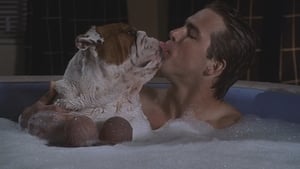 Van Wilder
