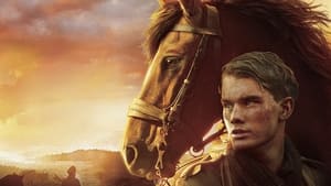 War Horse