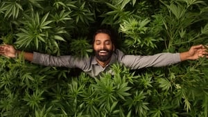 Weediquette