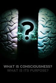 What Is Consciousness? What Is Its Purpose? What Is Consciousness? What Is Its Purpose?