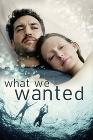 What We Wanted What We Wanted