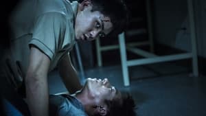 Who Killed Cock Robin?