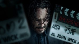 Wick Is Pain