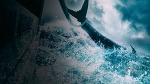 Wicked Tuna