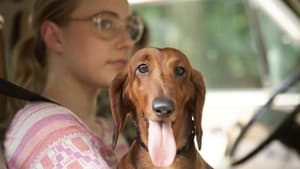 Wiener Dog