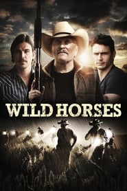 Wild Horses Wild Horses