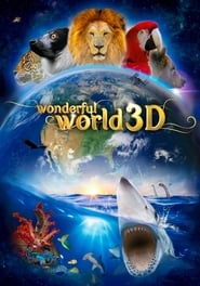 Wonderful World 3D