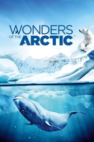 Wonders of the Arctic 3D